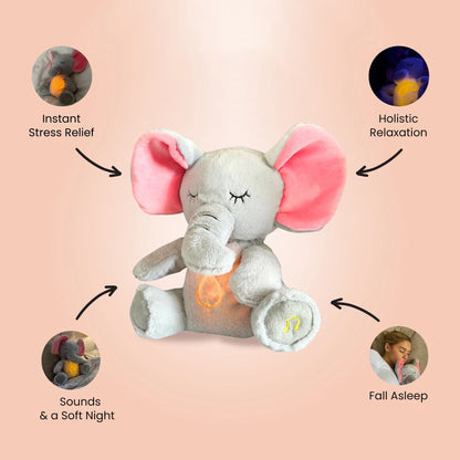 Soothing Musical Plush Toy